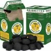 Springbok BRAAI Charcoal Briquettes