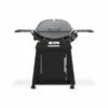 Weber Q2800N W/Stand Gas Grill Smoke Grey (Lp Only)