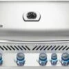 Napoleon Built In P500 Rear Burner Propane
